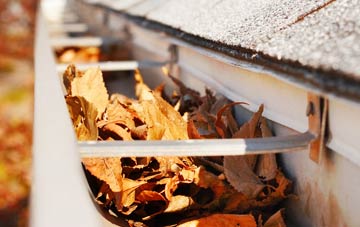 Gosling Green gutter cleaning companies